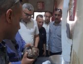 ضبط لحوم فاسدة وغلق 8 منشآت مخالفة خلال حملات مكبرة بحى الطالبية.. صور