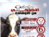 غدًا.. «الأوقاف» تبدأ توزيع أنصبة صكوك المضحين بـ4 محافظات