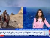 جامعة المنصورة: اكتشاف حفريات مصرية تعود لـ 62 مليون سنة بالصحراء الشرقية