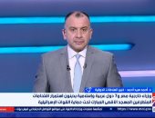 خبير العلاقات الدولية: القضية الفلسطينية لا تغيب عن أجندة السياسة المصرية 