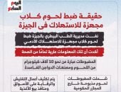 حقيقة ضبط لحوم كلاب مجهزة للاستهلاك الآدمى فى الجيزة.. إنفوجراف