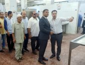 نائب محافظ الدقهلية يتفقد المنطقة الصناعية لتذليل العقبات أمام فرص الاستثمار