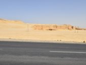 مأوى الكلاب الضالة بأسيوط.. خطة حل الأزمة واستغلال مساحة 5 آلاف متر مربع