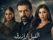 مفاجأة من العيار الثقيل.. دينا الشربيني تنضم رسميًا لأبطال «الفيل الأزرق 3»