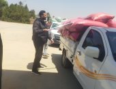 استلام 309 ألف طن  قمح محلى بصوامع وشون بني سويف
