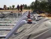 باحث بمركز بحوث الصحراء يبتكر منظومة ذكية لتأمين مياه الشرب والزراعة بـ"صفر انبعاثات"