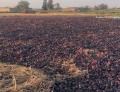 مكبرات الصوت بالمساجد تساهم في إخماد حريق محصول البصل بالدقهلية.. فيديو
