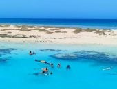 جزيرة شواريت درة البحر الأحمر جنوب مرسى علم.. تتميز شواطئها برمال بيضاء ومياه فيروزية.. تحيط بها الشعاب المرجانية والكائنات النادرة.. تتخذها الطيور المهاجرة محطة للراحة.. ومقصد لعشاق العزلة والاستجمام.. صور