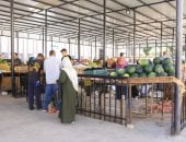 كيف غيرت المشروعات الخدمية شكل الحياة في سوهاج؟.. صور