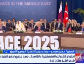 دبلوماسى سابق: مصر تسعى لتنفيذ اتفاق السلام فى غزة وحماية حل الدولتين