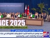 الاتحادي الديمقراطى: دور مصر محورى فى دعم القضية الفلسطينية