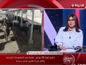 الزراعة: إنتاج 7 ملايين طن ألبان سنويا وتقليص فجوة استيراد اللحوم إلى 40%