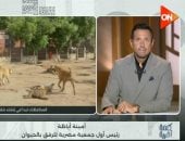 أمينة أباظة لـ كلمة أخيرة: الكلاب الضالة تهدد المواطنين والحلول تحتاج حسما