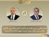 وزير الخارجية يبحث مع نظيره الباكستانى التطورات الإقليمية والجهود المشتركة