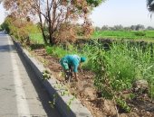 مدينة الأقصر تنهى زراعة 400 شجرة متنوعة وتنفيذ حملة لرفع الإشغالات.. صور