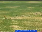 أستاذ اقتصاد زراعي: مصر ستجني فوائد كثيرة من التعامل مع دول بريكس