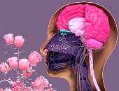 آلة الزمن الخفية.. لماذا تعد الروائح البوابة الأسرع للذاكرة؟