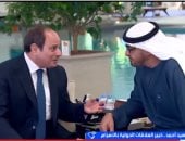 خبير: التنسيق المصري الإماراتي نموذج ملهم لاستقرار المنطقة
