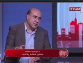 خبير اقتصادي: استقرار المنطقة مفتاح انخفاض الدولار