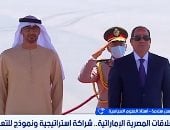 أستاذ علوم سياسية لإكسترا نيوز: مصر والإمارات ركيزتان أساسيتان للأمن الإقليمى