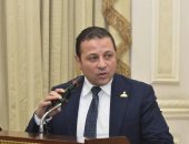 نائب: قمة مجموعة السبع تؤكد أهمية الدور المصرى فى مواجهة التحديات الدولية