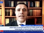 أستاذ علوم سياسية: الجميع بات يدرك الثقل السياسي المصري في المنطقة