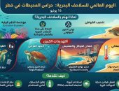 العالم يحتفى 16 يونيو بيوم السلاحف البحرية وسط دعوات لإنقاذها من الانقراض