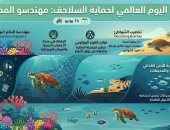 فى اليوم العالمى للسلاحف البحرية.. 4 مهام تحدث التوازن البيئى بالمحيطات