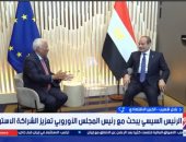 خبير: مصر شريك استراتيجى ومنصة إقليمية للاستثمار والإنتاج