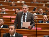 برلماني: الرئيس السيسي قدم رؤية متكاملة لمعالجة الأزمات الجيوسياسية 