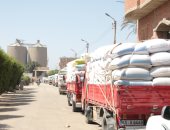 استلام 346 ألف طن من القمح داخل صوامع وشون بنى سويف
