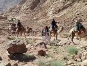 سانت كاترين تستقبل 207 سائحين لزيارة دير سانت كاترين وجبل موسى