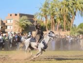 البيوت تفتح أبوابها للزوار والعشرات يتنافسون بالخيل.. حكاية مولد الأسمنتي بقنا