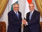 وزيرا خارجية مصر وباكستان يؤكدان أهمية التنسيق فى القضايا الإقليمية والدولية