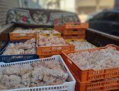 ضبط أكثر من نصف طن دواجن فاسدة بمطعم شهير بالفيوم