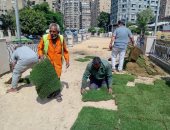 زراعة أحواض الجزيرة الوسطى بشارع الحجاز فى العجوزة لتحسين المظهر العام.. صور