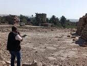 تحصين الكلاب الحرة للحد من الأمراض بأسوان