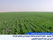 خبير: الدولة وسعت الرقعة الزراعية بمشروعات قومية كبرى اعتمدت على التقنيات الحديثة