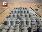 30 يونيو والأمن الغذائى.. اليوم السابع توثق رحلة بناء منظومة الصوامع الحديثة بالـAi
