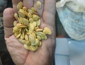 ضبط مادة محظورة لتلوين اللب والأغذية بمقلة فى أسيوط.. صور