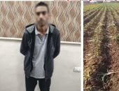 الداخلية تضبط المتهم بإتلاف محصول مواطن في البحيرة
