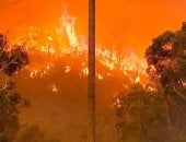 حريق لوس أنجلوس يدخل أسبوعه الثانى وسقف المنشأة ينهار فوق 38 مليون كيلو طعام