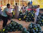 إقبال كبير على سوق المستقبل بالإسماعيلية.. البطيخة تبدأ من 10 جنيهات.. فيديو