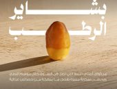 المركز الوطنى للنخيل والتمور: الربيعة تتصدر باكورة موسم بشاير الرطب بالسعودية