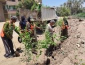 محافظة الجيزة تطلق مبادرة ازرع شجرة بأبو النمرس لتحسين المظهر الحضارى