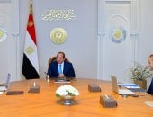 اجتماع الرئيس السيسى مع رئيسى هيئة القناة وشركة ترسانة جنوب البحر الأحمر.. فيديو