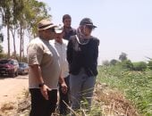 تمساح شبين القناطر.. لجنة من حماية البيئة ومحافظة القليوبية تمشط المصرف