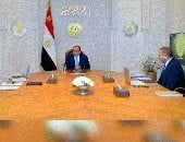تفاصيل اطلاع الرئيس السيسى على معدلات الملاحة بقناة السويس.. فيديو