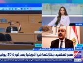 خبير: ثورة 30 يونيو عززت دور مصر الريادي في أفريقيا