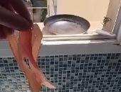 حرارة الشمس كافية لطهى اللحم المقدد والبيض فى فرنسا.. فيديو